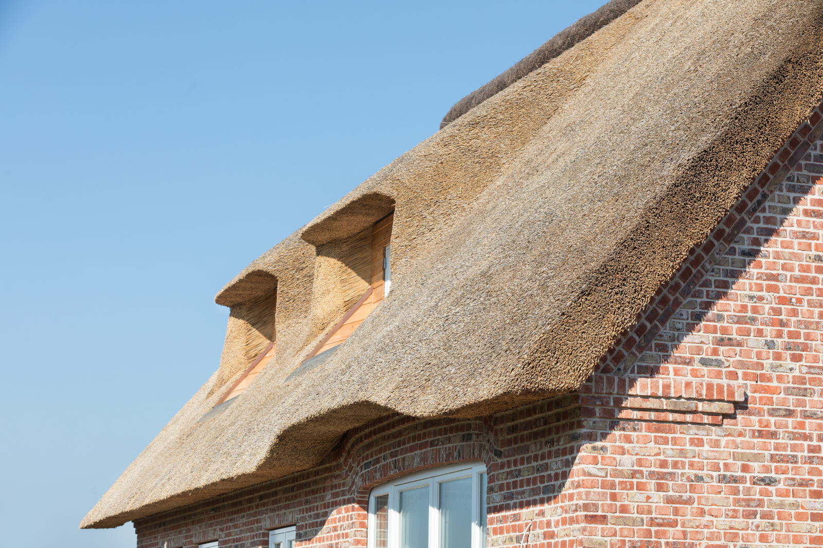 Devon Reed Thatch Devon Thatching Ltd